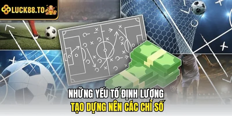 Những yếu tố định lượng tạo dựng nên các chỉ số